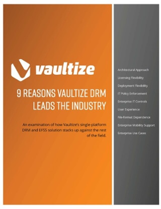 9 Ways Vaultize DRM Mitigates Risk