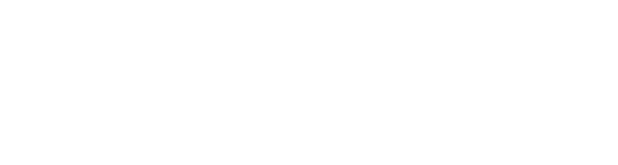 Vaultize